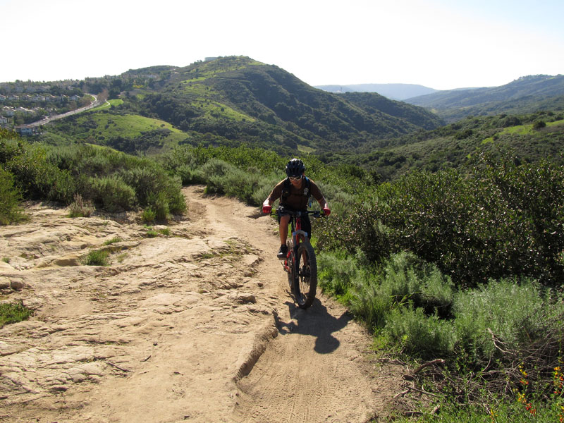 aliso-woods-IMG_0054