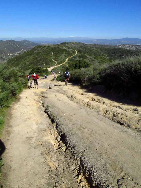 aliso-woods-IMG_0074