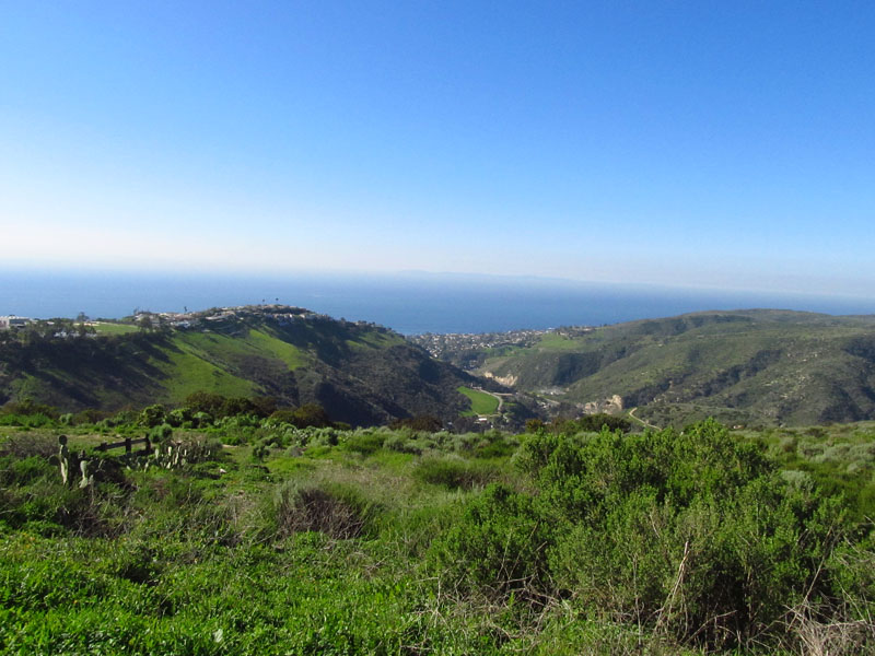 aliso-woods-IMG_0078