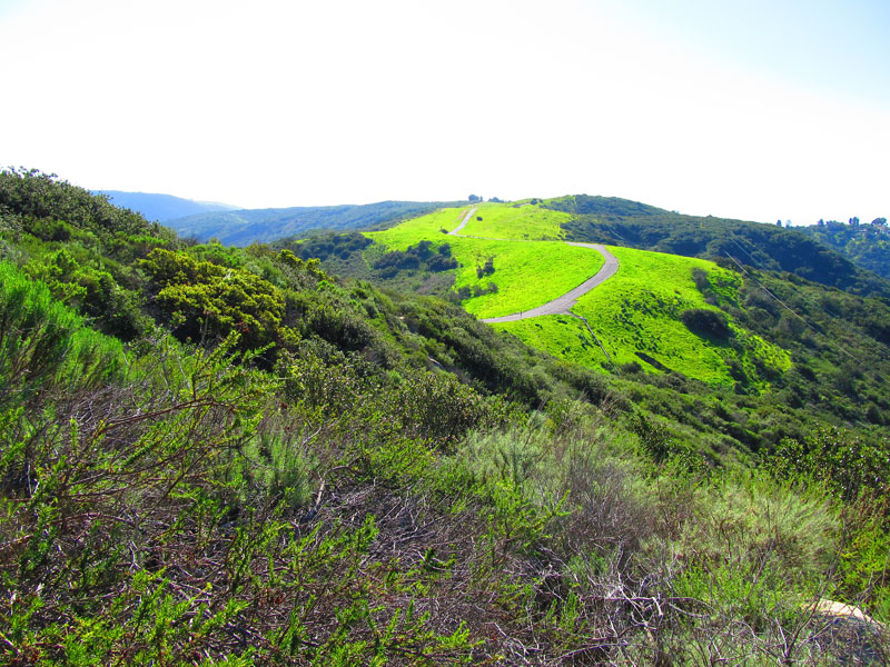aliso-woods-IMG_0083