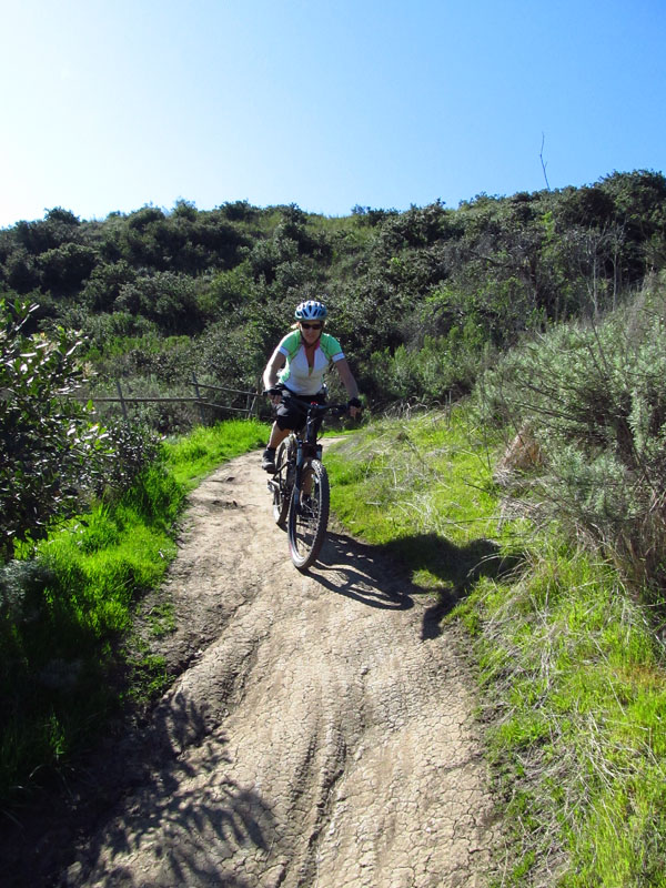 aliso-woods-IMG_0092