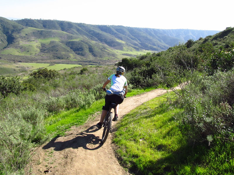 aliso-woods-IMG_0093