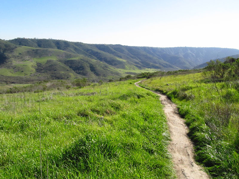 aliso-woods-IMG_0096