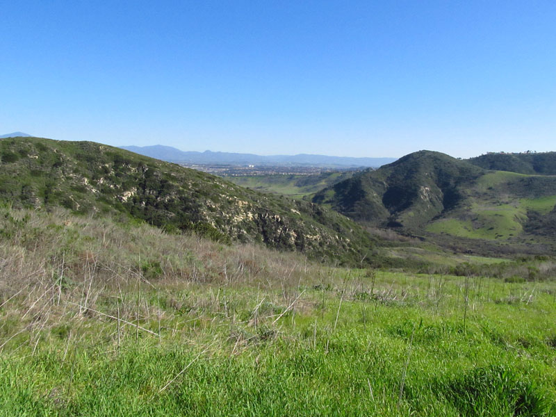 aliso-woods-IMG_0097