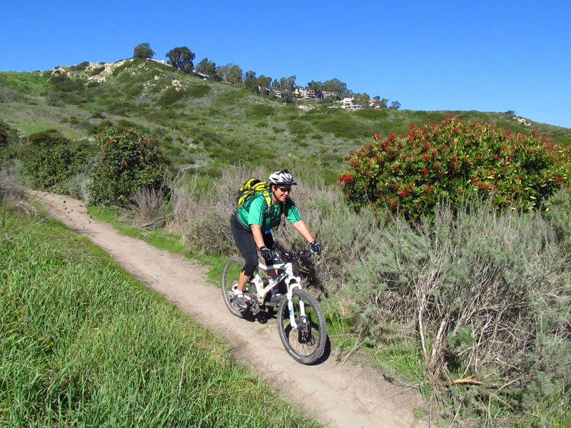 aliso-woods-IMG_0102