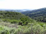 aliso-woods-IMG_0071