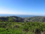 aliso-woods-IMG_0078