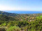aliso-woods-IMG_0082