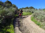 aliso-woods-IMG_0085