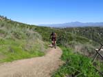 aliso-woods-IMG_0086