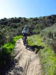 aliso-woods-IMG_0092
