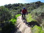 aliso-woods-IMG_0094