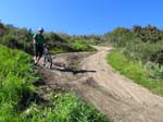 aliso-woods-IMG_0104