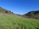 aliso-woods-IMG_0114