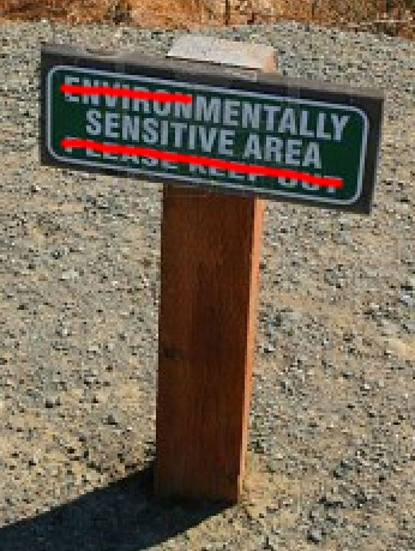 mentally-sensitive-trail