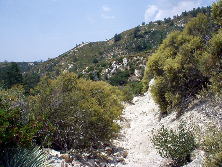 P7230045