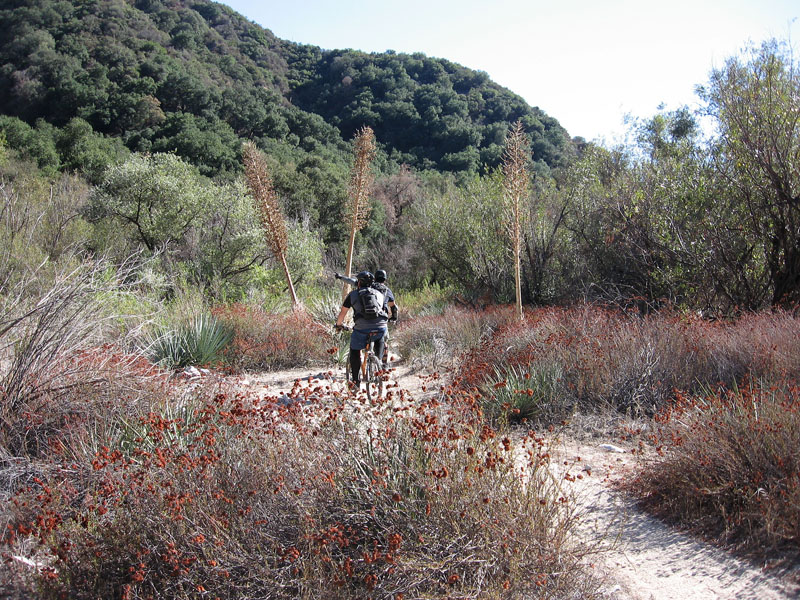 gabrielino-trail-21