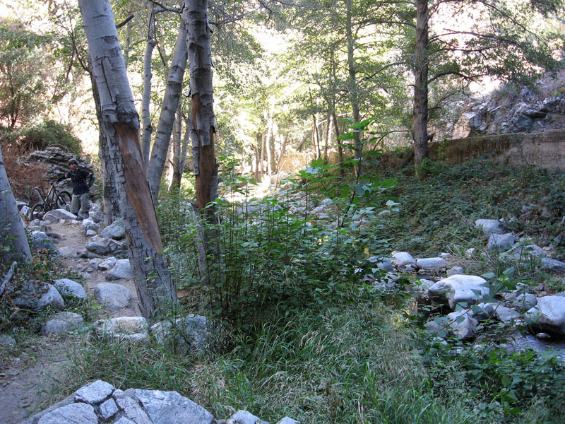 gabrielino-trail-27