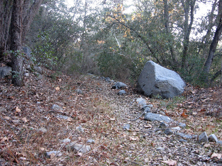 mt-wilson-to-chantry-flats-067