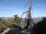 mt-wilson-to-chantry-flats-046
