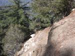 mt-wilson-to-chantry-flats-047