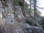 mt-wilson-to-chantry-flats-049