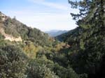 mt-wilson-to-chantry-flats-054