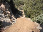 mt-wilson-to-chantry-flats-055