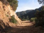 mt-wilson-to-chantry-flats-056