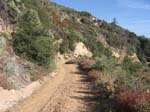 mt-wilson-to-chantry-flats-057
