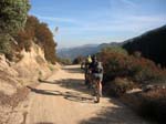 mt-wilson-to-chantry-flats-059