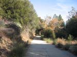 mt-wilson-to-chantry-flats-060