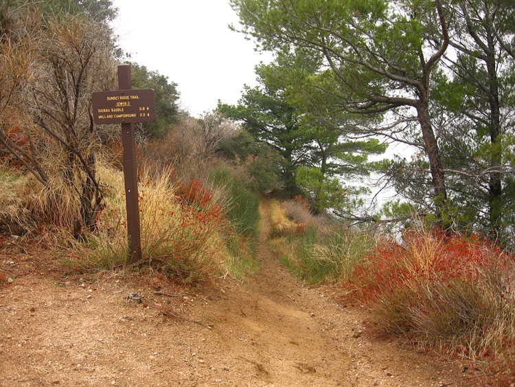 mt-wilson-to-el-prieto-18