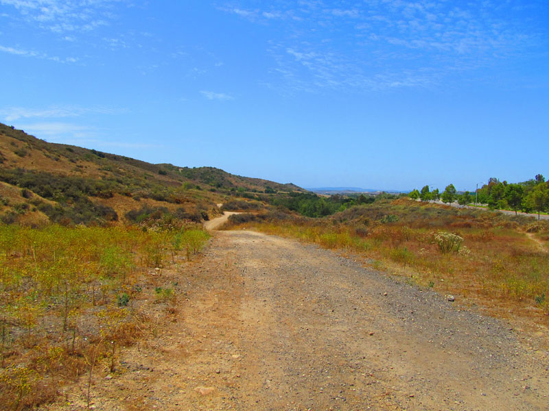 arroyo_tijeras_loop_IMG_1414