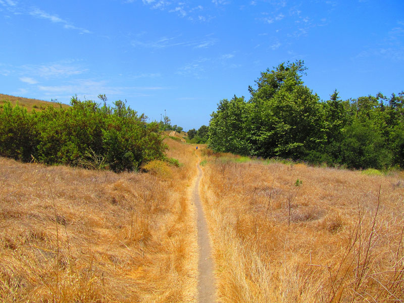 arroyo_tijeras_loop_IMG_1421