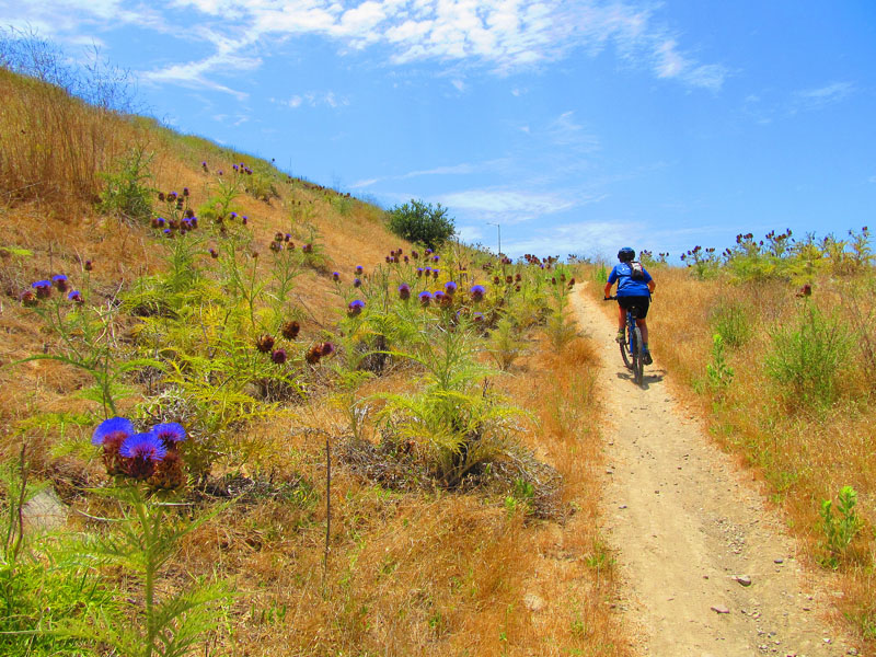 arroyo_tijeras_loop_IMG_1423