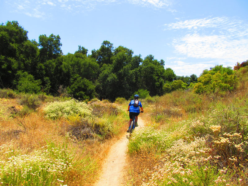 arroyo_tijeras_loop_IMG_1436