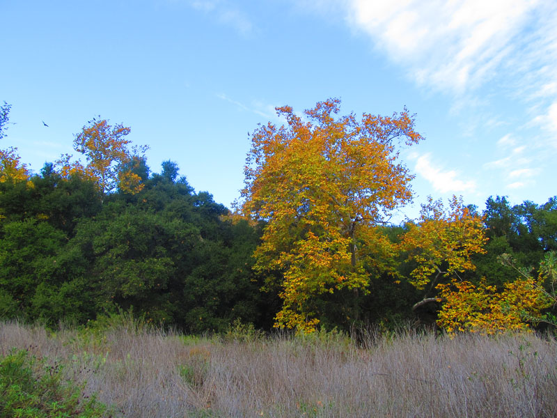 arroyo-tijeras-loop-IMG_2640