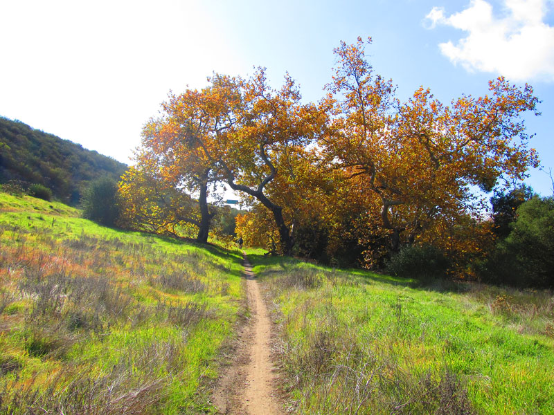 arroyo-tijeras-loop-IMG_2649