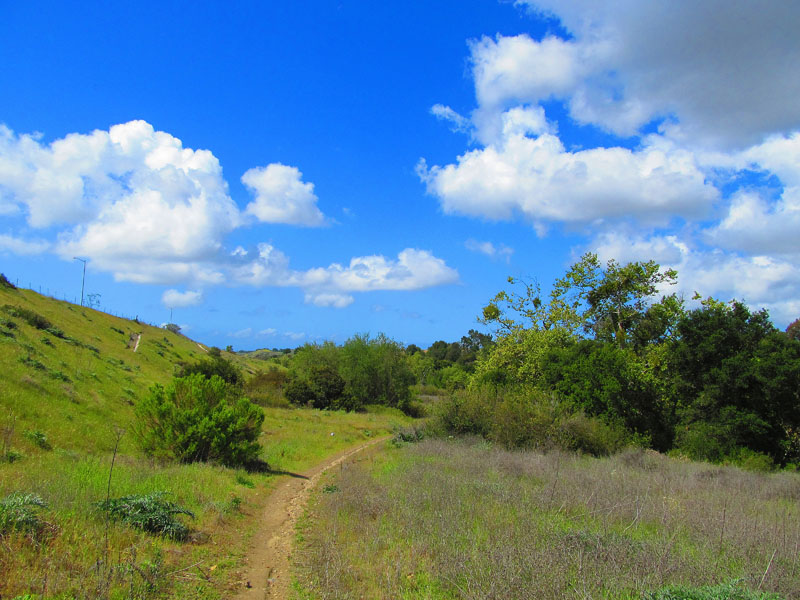 arroyo_tijeras_IMG_3349