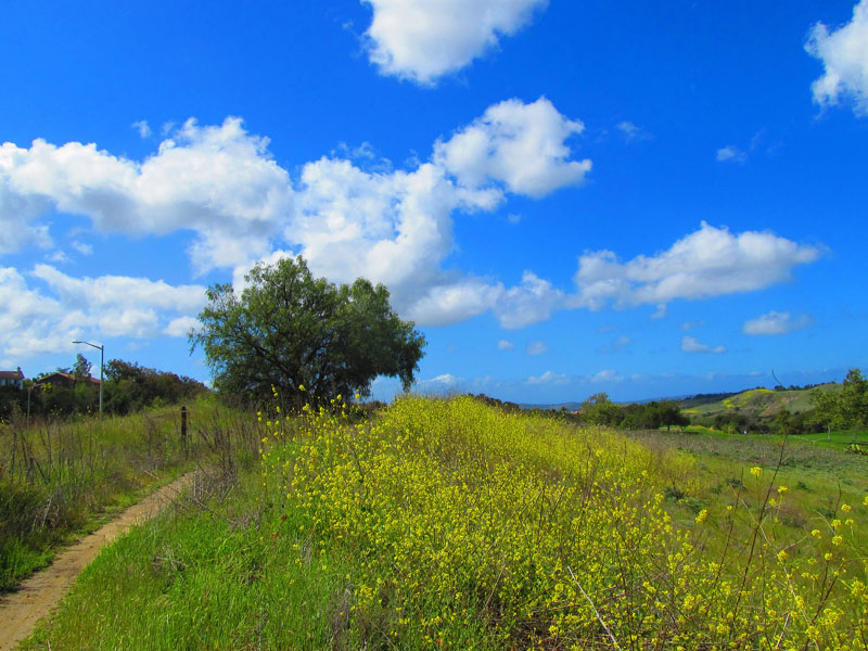 arroyo_tijeras_IMG_3350