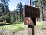 pine_knot_via_snow_summit-0061