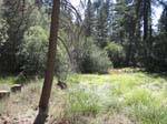 pine_knot_via_snow_summit-0062