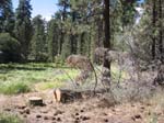 pine_knot_via_snow_summit-0065