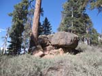 pine_knot_via_snow_summit-0069