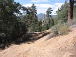 pine_knot_via_snow_summit-0072