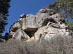 pine_knot_via_snow_summit-0073