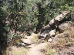 pine_knot_via_snow_summit-0077