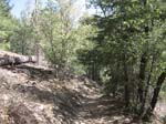 pine_knot_via_snow_summit-0078