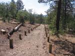 pine_knot_via_snow_summit-0080
